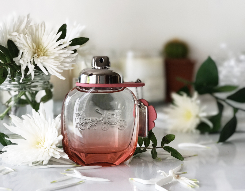 Coach floral blush discount vs coach floral